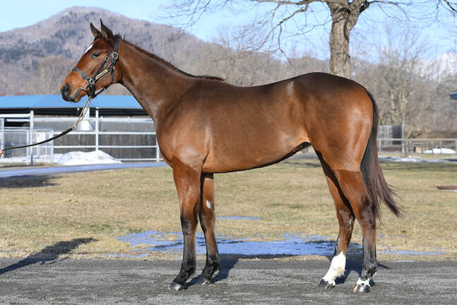 ⑩(外)Folklore24 (Mo Donegal産駒)