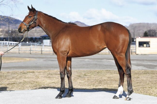 ⑩(外)Folklore24 (Mo Donegal産駒)